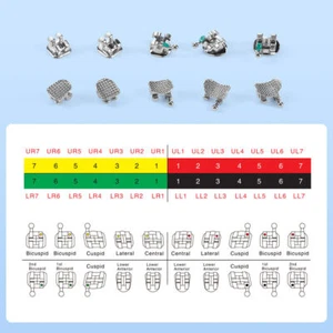 10X AZDENT Plus Dental Orthodontic Brackets Mini/Standard Roth/MBT Hooks 345 MIM - Picture 1 of 24