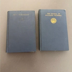 Vintage 2 Bücher Konvolut Antik Lot Der Patrizier Die Tortur des Richard Feverel - Bild 1 von 16