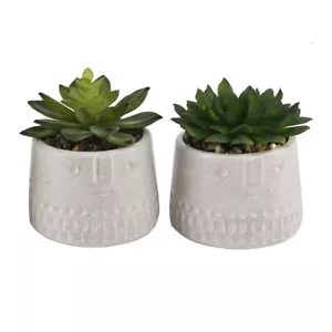 Flora Bunda Kunstpflanze Sukkulente in 4" Zylinder Cool Face Keramik Topf, 2 Stück - Bild 1 von 5