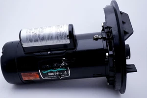 STA-RITE P6E6E-206L Pool motor K48L2PA105C3 4000827-0S* - Picture 1 of 8