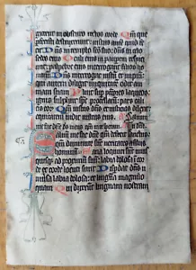 Original Manuscript Leaf on Vellum Prayerbook Fine Initials (F) - 1450 - Picture 1 of 2