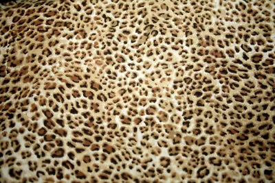 ANIMAL SKIN PRINTS -LEOPARD IV - 100% COTTON FABRIC - Image 1 of 3