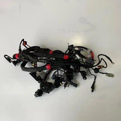 Ducati Monster 659 2017 Main wiring harness loom cables 5101B851E Foto 1 de 4