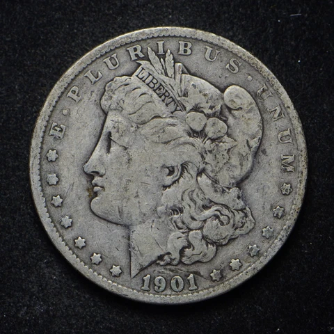 1901 Morgan Silver Dollar (cn11631) Cover