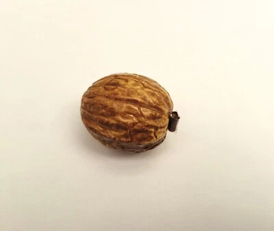 1920's Celluloid (Early Plastic) Novelty Walnut Tape Measure 100cm - Image 1 of 4