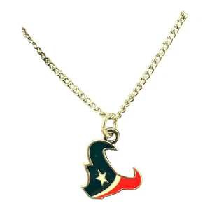 Houston Texans Necklace with 18-Inch Chain - Picture 1 of 1