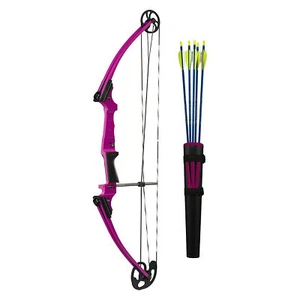 Genesis Original Archery Compound Bow and Arrow Set, Draw Hand-Right, Purple - Picture 1 of 11