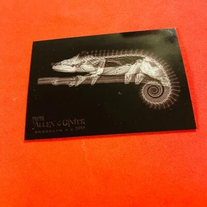 Mellers Chameleon .. X-RAYD .. Oregon Zoo .. 2024 Allen and Ginter Card XR-2 - Imagen 1 de 2