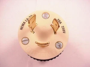 Bryant 70620NP 20 amp 25 vac Nema L6-20 Twistlock Plug Ships Same Day - Picture 1 of 3