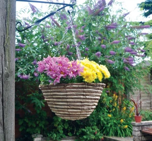 2 x 12″ Weidenkorb Weide Ausgekleidete Blumenampel Blumen Planter & Ketten & - Bild 1 von 1
