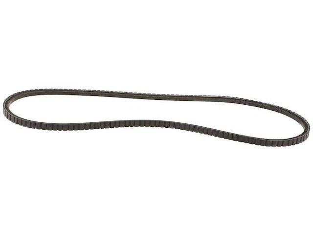 Cinturón Multi Rib Dayco 61TXRZ88 para Cadillac Brougham Fleetwood 1986 1987 1988 Foto 1 de 1