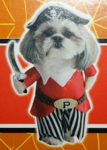 Pirate Pet Costume XS by Spooky Village Free US Shipping - Picture 1 of 4