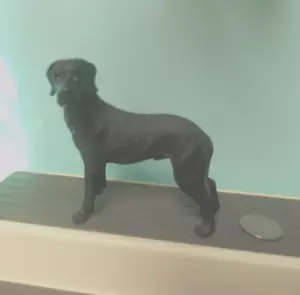 Black Great Dane Dog Figure - Picture 1 of 3