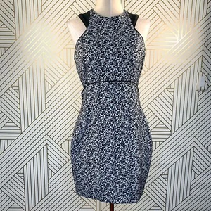 Elizabeth and James Ellna Bodycon Cutout Dress in Black and White Size 6 - Picture 1 of 11
