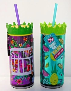 Dos (2) botellas de bebida aisladas de doble pared de 16 oz - ambiente y fruta de verano - Imagen 1 de 1