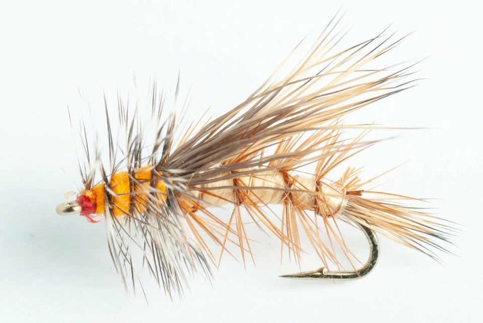 BLUE WING OLIVE Stimulator Dry Fly - 6 Pack