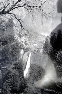 Yosemite California 11X14" Black & white Picture Photo Valley Waterfall cascades - Picture 1 of 8