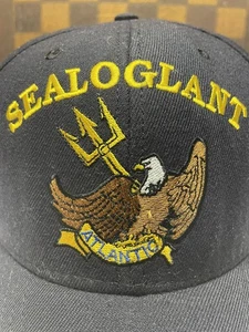 Sealift Logistics Command Atlantic SEALOGLANT Baseball Cap Hat One Size - Picture 1 of 11
