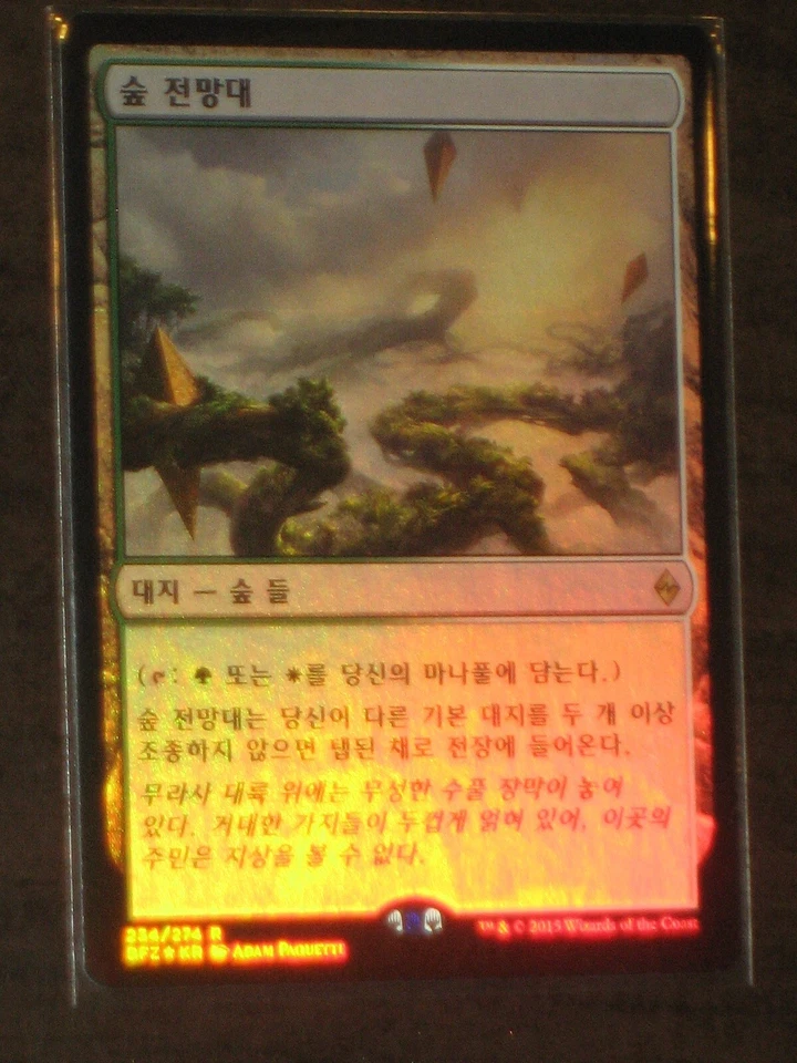 (Foil) [NM] MTG Korean, Battle For Zendikar, 1 x Canopy Vista - Image 1 of 1
