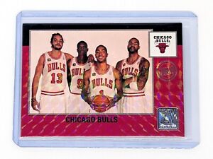 2010-11 Donruss Press Proof #268 Chicago Bulls /100 Checklist Derrick Rose