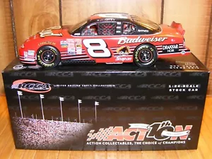 Dale Earnhardt Jr. 2002 RCCA 1/24 Scale Budweiser Half n Half Clear Car - Picture 1 of 3