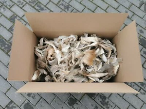 Reh Hirsch Damwild Wild Fell Abschnitte Stücke zum Basteln oder Fliegen Binden - Picture 1 of 3