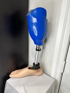 Ottobock TITAN 2R38 4R52=5 Prosthetic Leg Parts BK w/ Pylon & CPI 29 Foot - Picture 1 of 23