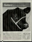1952 Fedders Has a Steak in Your Life Condensers Cow Vintage Print Ad 2067