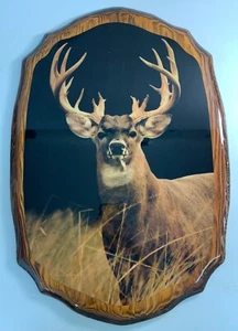 Vtg Cabin Art Polished Wood Picture Wall Hanging White Tail Buck Deer Hunting - Picture 1 of 4