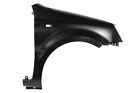 Fits Panda 1.2 LPG 2003-2022 Front Right O/S Wing W/ Hole For Indicator Steel