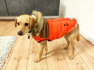 Hundemantel warm Winter Mantel wasserabweisend klein Hund Gr.2XS RL 23cm orange - Bild 1 von 4