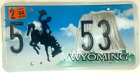 Wyoming 2004 License Plate Vintage Auto Albany Co Cave Garage Decor Collector