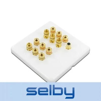 Selby 6.1 Speaker Cable Wall Plate Premium Pre-Assembled Wallplate - image 1 of 4