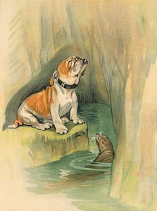 BULLDOGGE BEZAUBERNDER HUND GRUSS NOTIZKARTE NIEDLICHER HUND MIT SEELÖWE IM WASSER - Bild 1 von 1