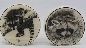 Don Northcutt Scrimshaw Waschbär Skulptur 2 Stück - Bild 1 von 15