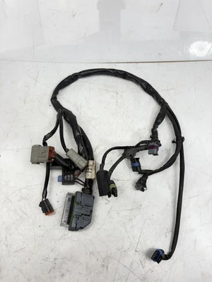 Harley-Davidson Road King 2004 arnés de cables con motor Foto 1 de 4