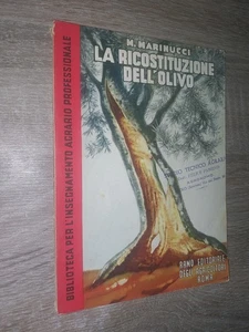 Marinucci M.; LA RICOSTITUZIONE DELL'OLIVO ; R.E.D.A. 1954 - Foto 1 di 1