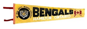 Vintage Hamilton Bengals Team Logo Hockey Filz Wimpel Ontario - Bild 1 von 4