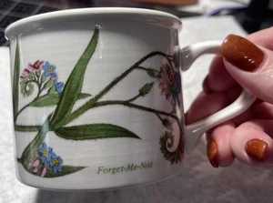 Tazza tamburo Portmeirion giardino botanico Forget Me non - 3 disponibili vintage - usata in ottime condizioni - Foto 1 di 10