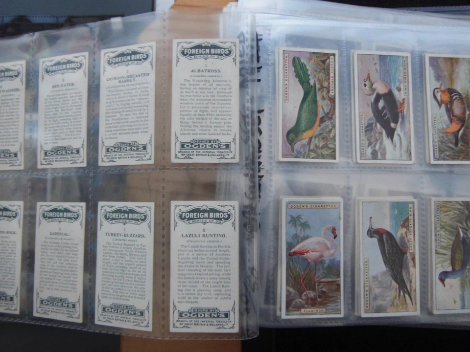 ONE COMPLETE SET CIGARETTE CARDS OGDEN'S FOREIGN BIRDS - Image 1 of 1