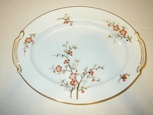 Plato para servir ovalado NORITAKE china Brenda 3064 12"" x 9"" borde dorado floral en excelente condición - Imagen 1 de 6