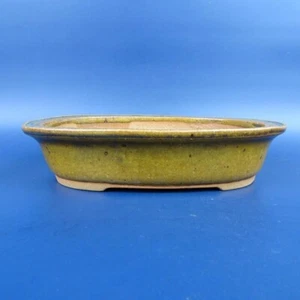 Japanese bonsai pot Tokoname Ittoen Oval shape W19.4cm H6cm Green Glazed - Picture 1 of 24