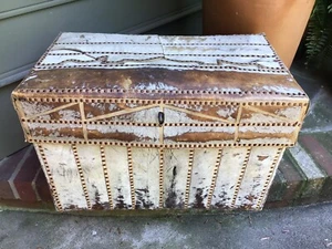 Antique Spanish GAUCHO Cowboy “Cowhide” Horseback Travel TRUNK western decor art - Picture 1 of 12