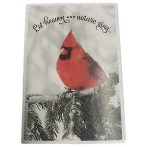 Dayspring Red Cardinal Christian Heaven & Nature Sing Christmas Cards Luke 2:10 - Picture 1 of 2