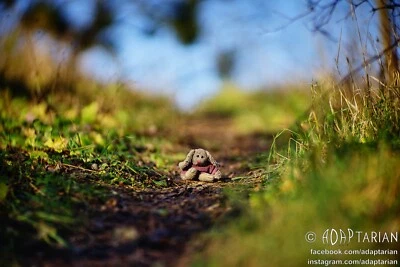 "Petzval" Carl Zeiss KIPRONAR 165/2.2 converted to M42 with focusing | SAMPLES Foto 1 de 4