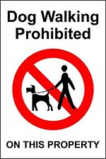No dog walking dog walking prohibited safety sign