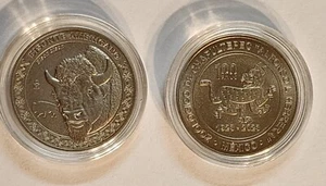 Amerikanische Bisonmedaille zum 100-jährigen Jubiläum des Chapultepec Zoo - Bild 1 von 1