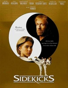 SIDEKICKS - CHUCK NORRIS - NEW DVD FREE LOCAL POST - Picture 1 of 1