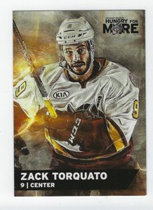 2015-16 Chicago Wolves (AHL) Zack Torquato ( EHC Winterthur)