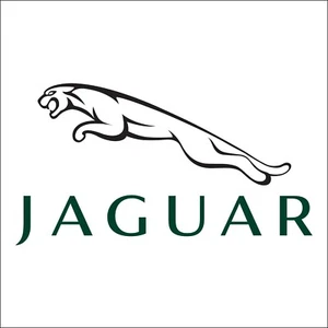 JAGUAR CAR LOGO STICKER - Picture 1 of 2